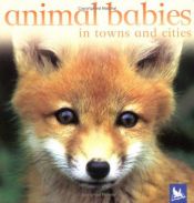 book cover of Animal Babies In Towns and Cities by Editors of Kingfisher