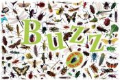 book cover of Buzz by DK Publishing