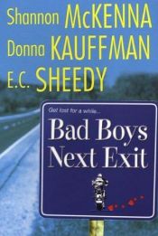 book cover of Bad Boys Next Exit (Bad Boys Anthologies series) by Shannon McKenna