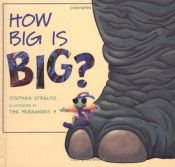 book cover of How Big Is Big by Stephen Strauss