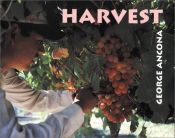 book cover of Harvest by George Ancona