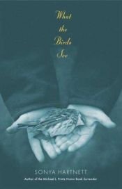 book cover of Of a Boy by Sonya Hartnett