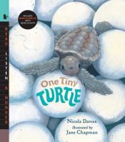 book cover of One Tiny Turtle: Read and Wonder by Nicola Davies