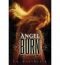 Angel Trilogy - Volume 1: Angel Burn