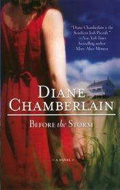 book cover of Before the storm by Diane Chamberlain