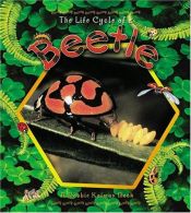 book cover of The Life Cycle of a Beetle (Life Cycle) by Molly Aloian