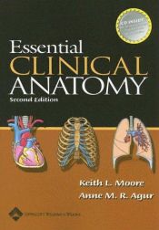 book cover of Essential clinical anatomy by Keith L. Moore