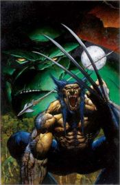 book cover of Hulk by Bruce Jones