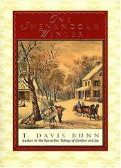 book cover of One Shenandoah winter by T. Davis Bunn