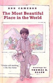 book cover of The most beautiful place in the world by Ann Cameron