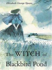 book cover of Witch of Blackbird Pond by Novel Units