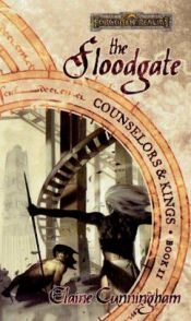 book cover of The Floodgate by Elaine Cunningham
