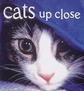 book cover of Cats Up Close (Tiny Folios) by Vicki Croke