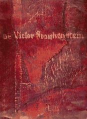 book cover of Diary of Victor Frankenstein by DK Publishing