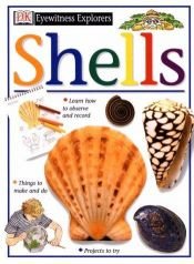 book cover of Shells by DK Publishing