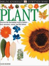 book cover of Plant (DK Eyewitness Books) by DK Publishing