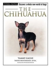 book cover of The Chihuahua (Terra Nova Series) by Tammy Gagne