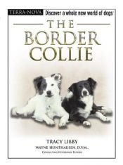 book cover of The Border Collie (Terra Nova Series) by Tracy Libby