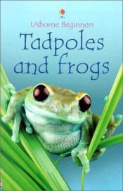 book cover of Tadpoles and Frogs (Usborne beginners series) by Anna Milbourne