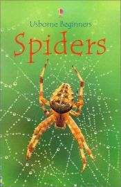 book cover of Spiders (Beginners) by Rebecca Gilpin