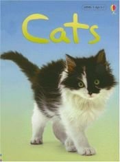 book cover of Cats (Usborne Beginners Series) by Anna Milbourne