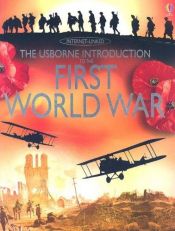 book cover of The Usborne introduction to the First World War by Ruth Brocklehurst