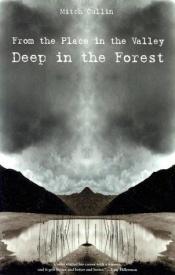 book cover of From the Place in the Valley Deep in the Forest by Mitch Cullin