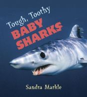 book cover of Tough, Toothy Baby Sharks by Sandra Markle