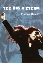 book cover of Too Big a Storm by Marsha Qualey