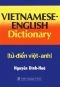 Vietnamese-English dictionary