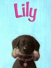 book cover of Lily by Abigail Thomas