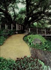 book cover of Garden Construction - The Time-life Encyclopedia Of Gardening by Ogden Tanner