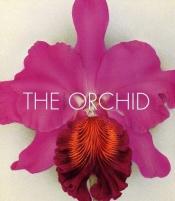 book cover of The Orchid by Mark Griffiths