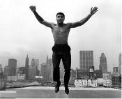 book cover of Muhammad Ali by Magnum Photos