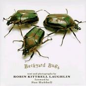 book cover of Backyard Bugs by Sue Hubbell