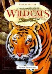 book cover of A Visual Introduction to Wildcats by Bernard Stonehouse