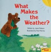 book cover of What makes the weather by Janet Craig