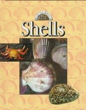 book cover of Shells (Would You Believe It!) by Catherine Chambers