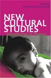 book cover of New Cultural Studies: Adventures in Theory by Gary Hall
