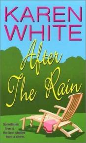 book cover of After The Rain by Karen White