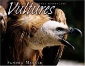 book cover of Vultures by Sandra Markle