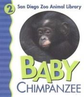 book cover of Baby Chimpanzee by Patricia Pingry