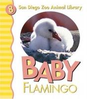 book cover of Baby flamingo by Patricia Pingry