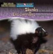 book cover of Skunks Are Night Animals (Night Animals by Joanne Mattern