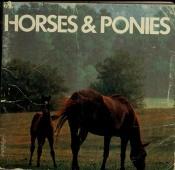 book cover of Horses & ponies by Tamsin Pickeral