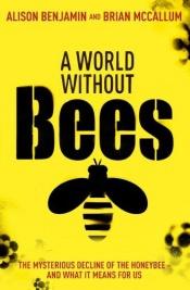 book cover of A world without bees by Alison Benjamin