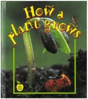 book cover of How a Plant Grows by Bobbie Kalman