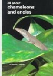 book cover of All About Chameleons and Anoles by Mervin Roberts