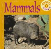 book cover of Mammals (Animals in Disguise) by Lynn M. Stone