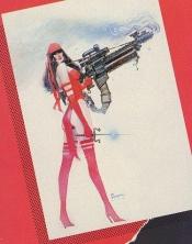 book cover of Elektra, assassin by Frank Miller